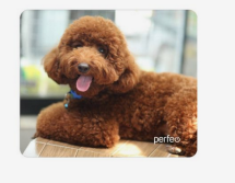 Коврик для мыши Perfeo "Dog", Рис.1 (240*200*2 мм) ткань+резиновое основание