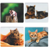 Коврик для мыши Defender Silk животные в ассортименте (230х190х1.6мм)