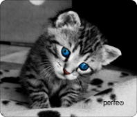 Коврик для мыши Perfeo "Cat", Рис.14 (240*200*2 мм) ткань+резиновое основание