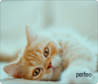 Коврик для мыши Perfeo "Cat", Рис.8 (350*250*4 мм) ткань+резиновое основание Коврик для мыши Perfeo "Cat", Рис.8 (350*250*4 мм) ткань+резиновое основание