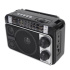 Радиоприёмник Ritmix RPR-161 (FM+USB+microSD+BТ+фонарик) Black
