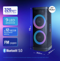 Колонка Ginzzu GM-116, 320W RMS, TWS, Karaoke, Bluetooth+FM+USB+SD+LED+ПДУ, черный