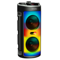 Колонка Ginzzu GM-231, 20W, Karaoke, TWS, Bluetooth+FM+USB+SD+AUX+RGB, ПДУ, черный