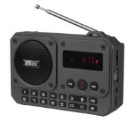 Радиоприёмник Ritmix RPR-010 (FM+USB+microSD+AUX+BТ) Black