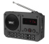 Радиоприёмник Ritmix RPR-010 (FM+USB+microSD+AUX+BТ) Black