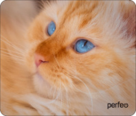 Коврик для мыши Perfeo "Cat", Рис.23 (180*220*2 мм) ткань+резиновое основание Коврик для мыши Perfeo "Cat", Рис.23 (180*220*2 мм) ткань+резиновое основание