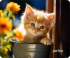 Коврик для мыши Perfeo "Cat", Рис.38 (240*200*2 мм) ткань+резиновое основание