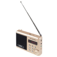 Радиоприёмник Perfeo Sound Ranger шамп. золот (PF-SV922AU)