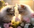 Коврик для мыши Perfeo "Cat", Рис.37 (240*200*2 мм) ткань+резиновое основание