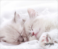 Коврик для мыши Perfeo "Cat", Рис.10 (340*280*4 мм) ткань+резиновое основание